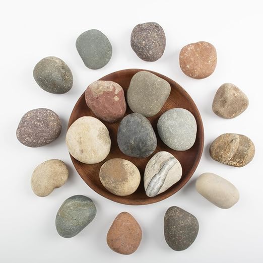 20 LBS River Rocks for Plants by LOOIOOJ