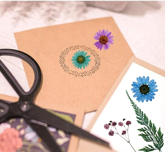 Woohome 110PCS Real Pressed Flowers, Dried Pressed Flowers Colorful Real - Image 6
