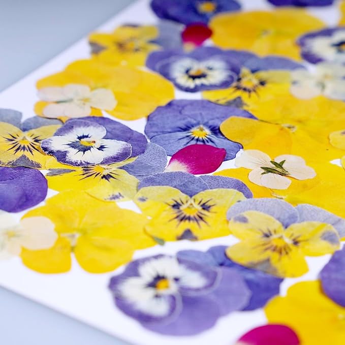 48 Pcs Mix Natural Dried Flowers - Image 7