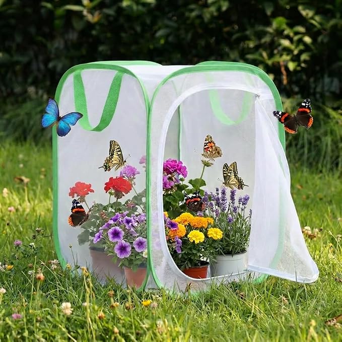 Insect & Butterfly Habitat Cage, Portable Pop-Up Terrarium - Image 6