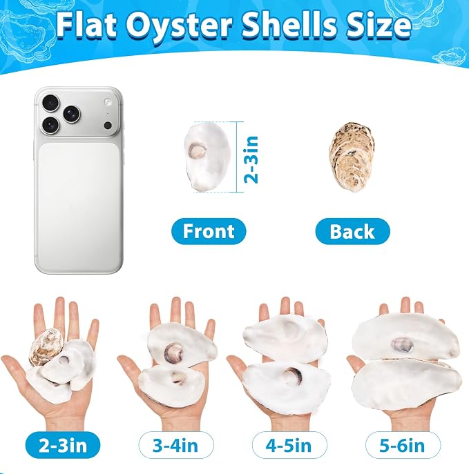 30Pcs Small Flat Oyster Shells for Crafts, 2-3 Inch Cleaned Natural Oyster - Image 5