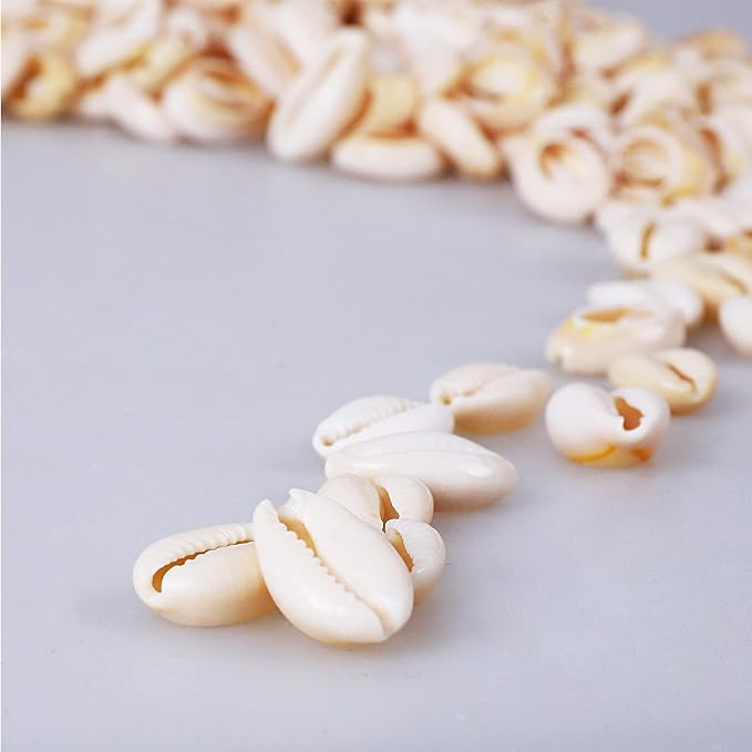 150 PCS White 0.63"-0.71" Natural Strong Cowrie Shell Beads Smooth Cut Oval - Image 4