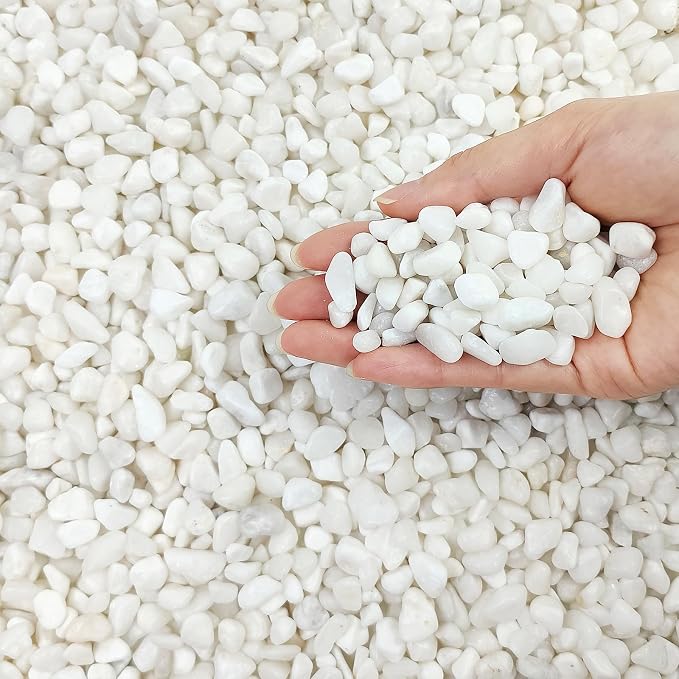 FANTIAN White Pebbles for Indoor Plants, 3/8 Inch Decorative White Stones. - Image 9