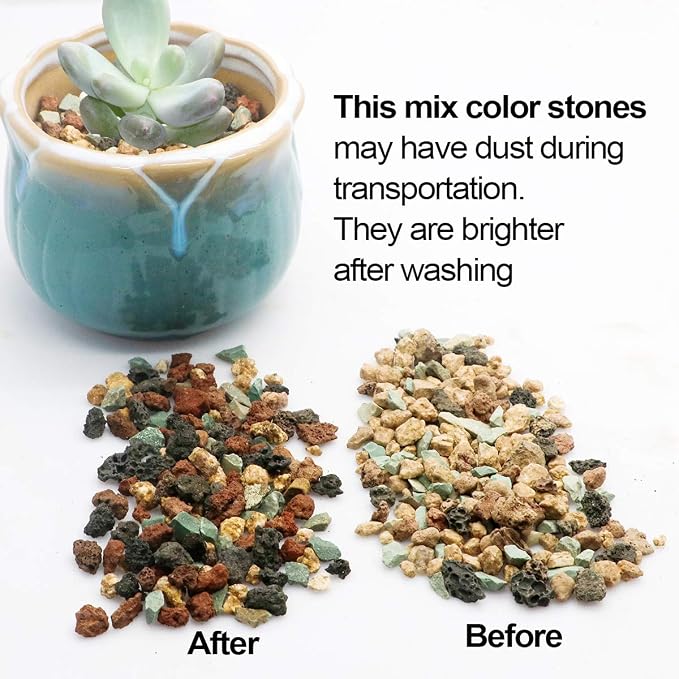 Mix Horticultural Lava Pebbles Pumice Potting Soil Amendment Succulent Cactus - Image 2