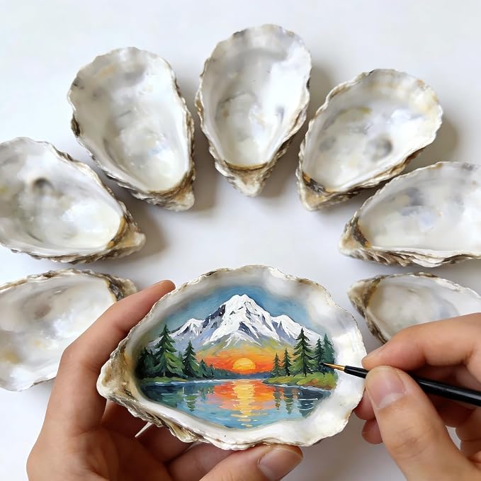 ZhenD 20Pcs 4"-5" Oyster Shells by Unknown