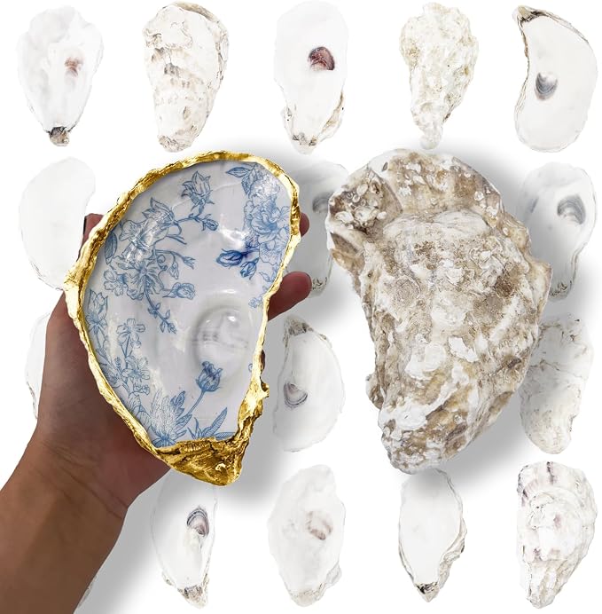 20PCS 5"-6" Extra Large Oyster Shells by Unknown