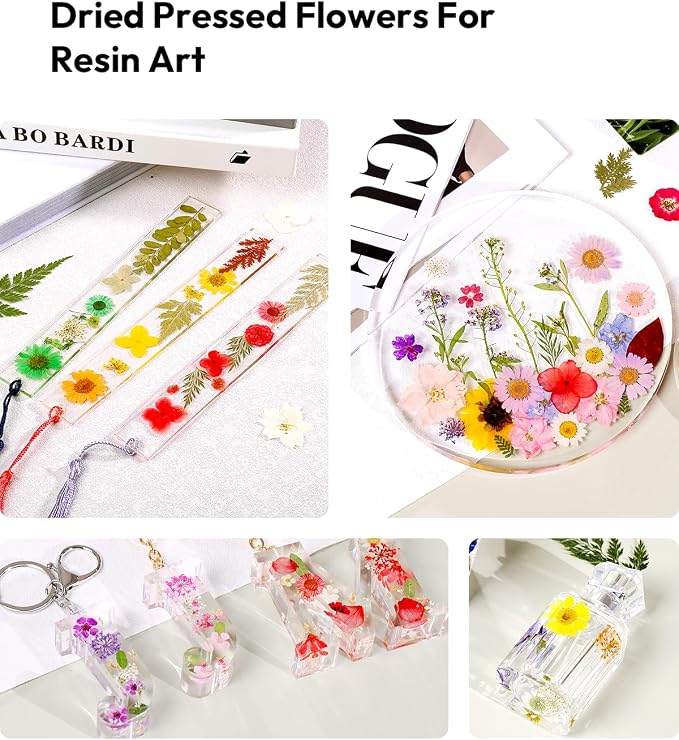 Dried Flowers, Resiners 174Pcs Pressed Flowers - Image 7