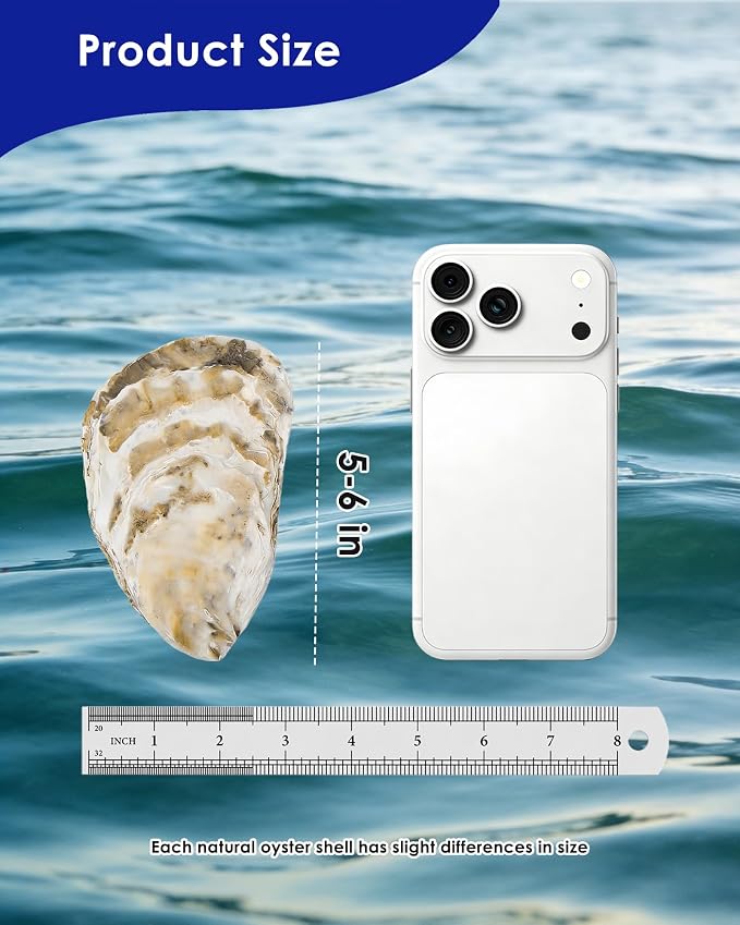 ZhenD 20Pcs 5"-6" Oyster Shells - Image 6