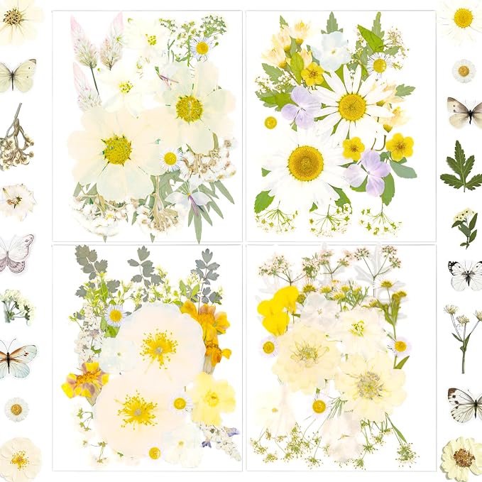 130Pcs White Pressed Dried Flowers and Butterfly by LUCISKY