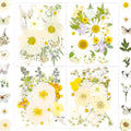 130Pcs White Pressed Dried Flowers and Butterfly by LUCISKY