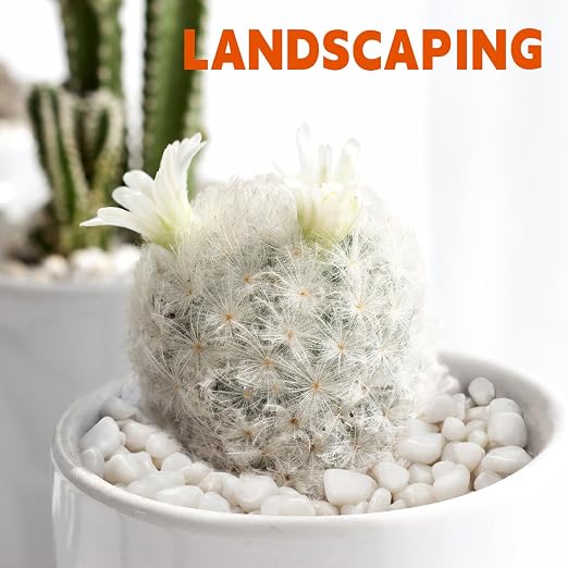 10 lb Natural Polished White Pebbles, 1/2 Inch Decorative White Rocks - Image 5