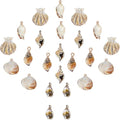 SUNNYCLUE 1 Box 24Pcs 6 Styles Sea Shell Pendants Electroplated Shell Charms by SUNNYCLUE