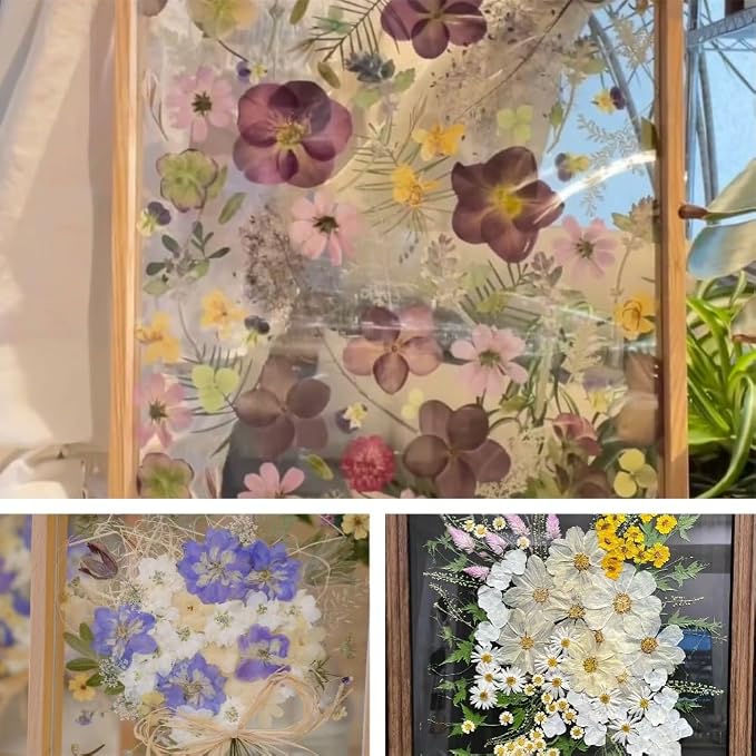 180Pcs Dried Pressed Flowers, Natural Dried Flowers Bulk - Image 6