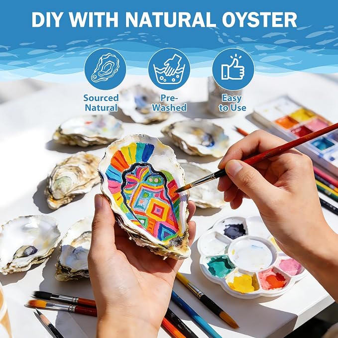 4"-5" 20PCS Large Concave Oyster Shells - Image 7