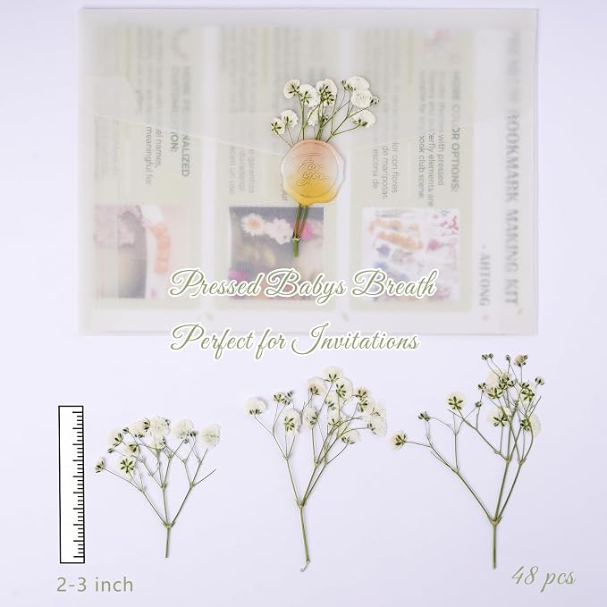 48 Pcs Natural Dried Pressed Mini Baby's Breath Flowers - Image 2