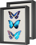 2 Packs 11x14 Shadow Box Frame by Califortree