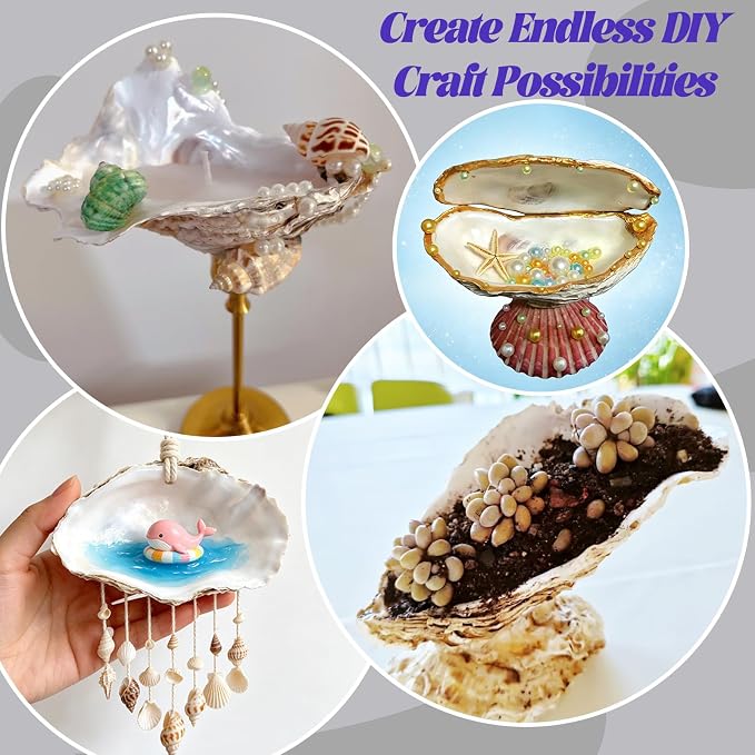 SINKOO 20PCS Concave Oyster Shells 4"-6", Large Oyster Shells - Image 4