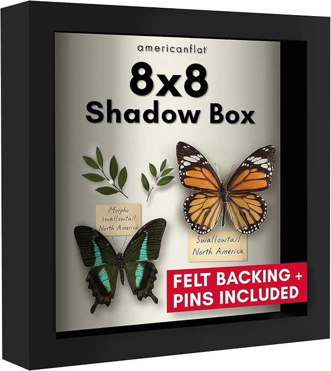 Americanflat 8x8 Shadow Box Frame by Americanflat