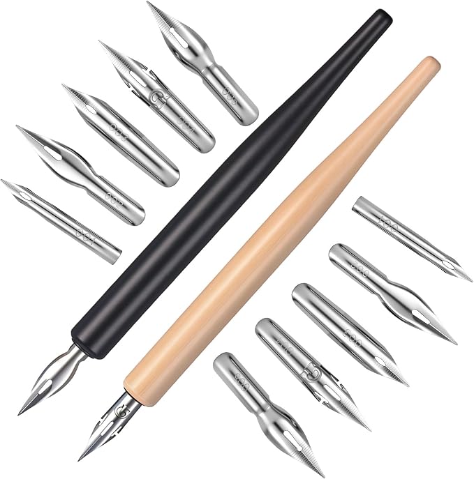 salbsever 12PCS Dip Pen Nibs, Dip Pen Set, 2 Wooden PenHolders and 10 Stainless by salbsever