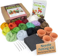 Woolbuddy Needle Felting Kit Starter Set by Woolbuddy