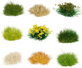 Warmtree 126 Pcs Static Grass Bushy Tufts Lowland Shrubs Tuft Terrain Model Kit by Warmtree