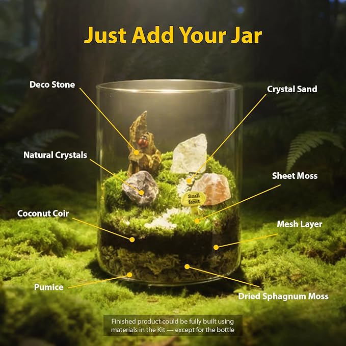 DIY Crystal Terrarium Kit - Image 2
