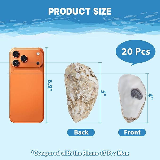 4"-5" 20PCS Large Concave Oyster Shells - Image 5