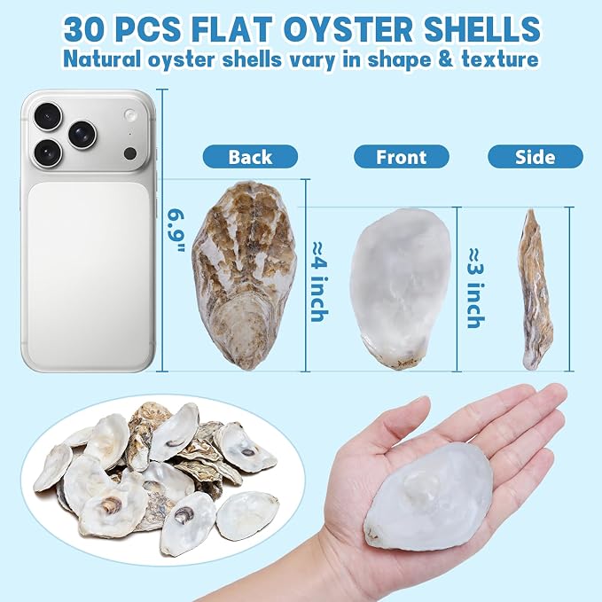 30PCS 3"-4" Flat Oyster Shells, Natural Seashells - Image 2