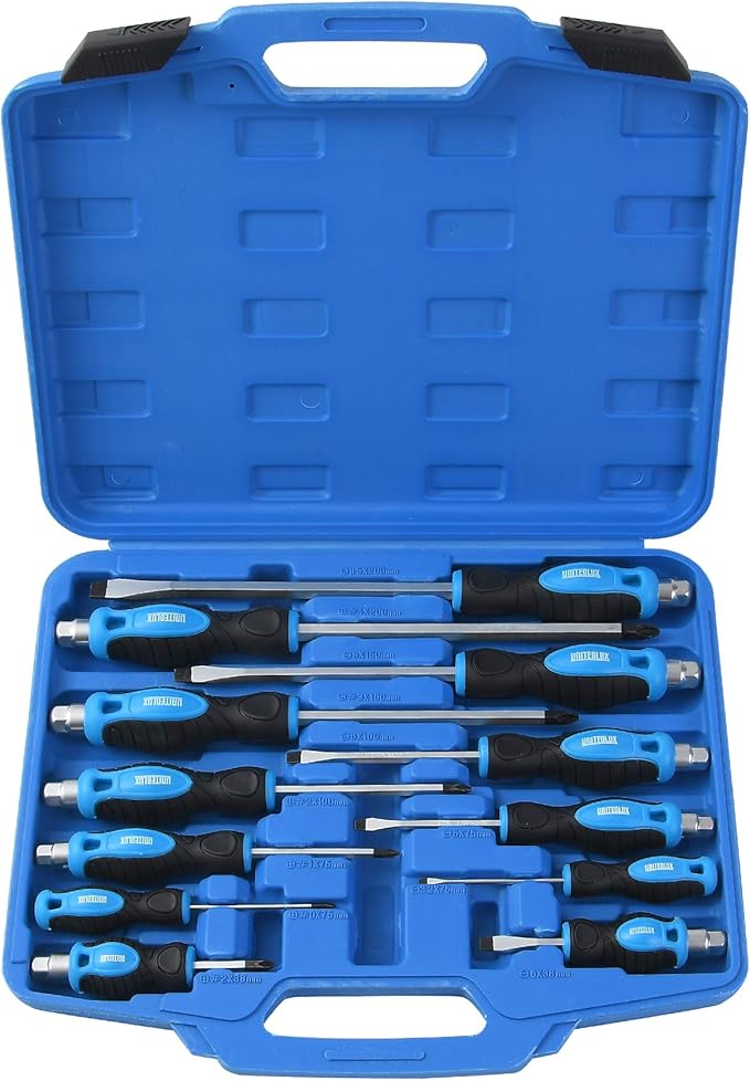 12-Piece Magnetic Screwdriver Set, Heavy Duty Screwdriver Set Go-Thru Steel Blades, High Torque 6 Phillips & 6 Flat Head Tips Screwdrivers Set with Case