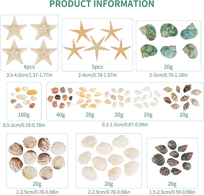 Fangoo 1500 Pieces Small Sea Shells Conch Natural Starfish Mixed Agate Pebble - Image 2