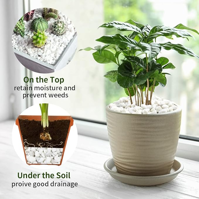 FANTIAN 2 lbs White Rocks for Plants, 3/8 Inch Gravel Pebbles for Plants. - Image 6