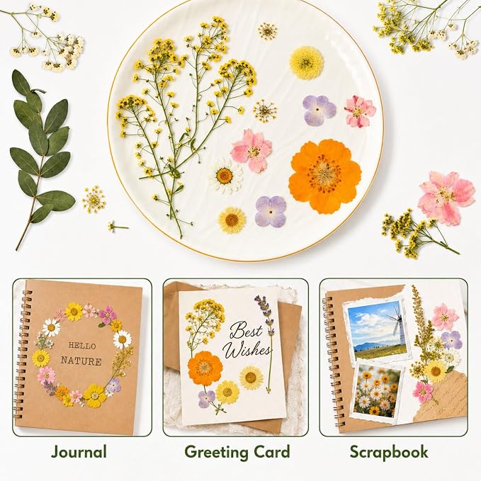 Dried Pressed Flowers for Resin, Scrapbooking, Soap Candle Making, DIY - Image 5
