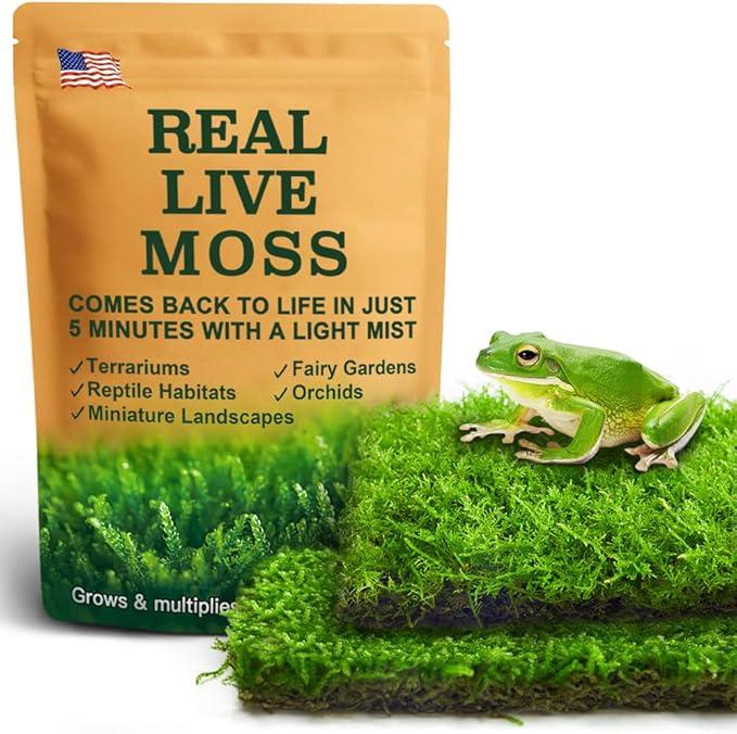 Live Moss Duo Pack 2 Types of Real Live Sheet/Sphagnum Moss by LUCKYRUNES