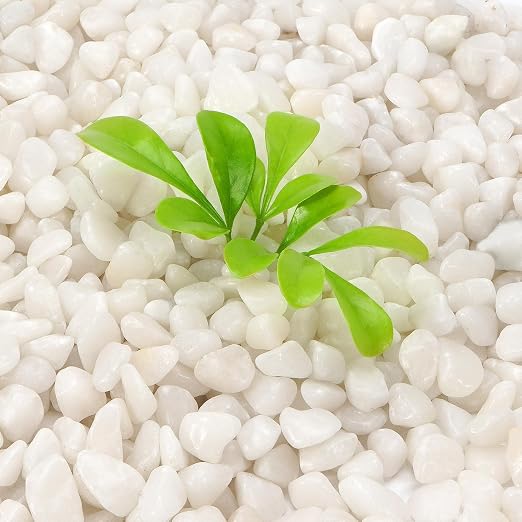 2.2 lb Natural Polished White Pebbles, 3/8 Inch Decorative White Rocks - Image 3