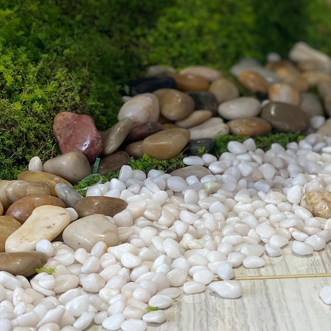 FANTIAN 40 lbs White Stones for Garden, 1-2 Inch Decorative Polished White - Image 4
