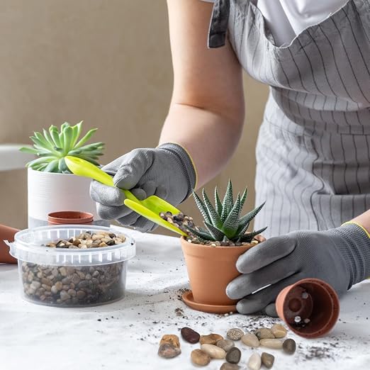 Pulovin 5 lbs Pebbles for Indoor Plants, 3/8" Plant Rocks for Pots Indoor - Image 4