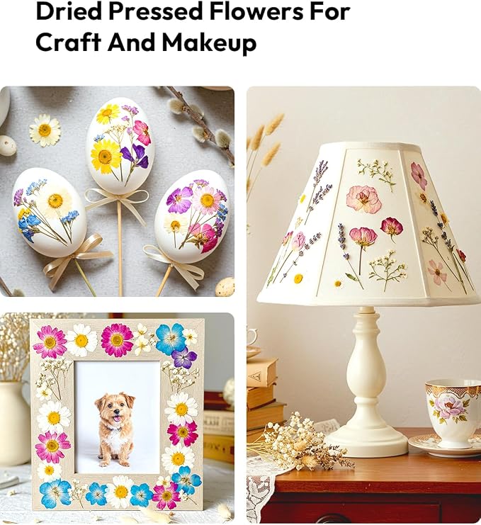 Dried Flowers, Resiners 100Pcs Pressed Flowers - Image 9