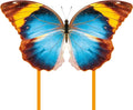 Butterfly Kite for Kids & Adults, Outdoor Kite, Grassy Areas by Unknown