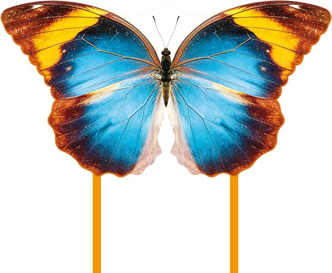 Butterfly Kite for Kids & Adults, Outdoor Kite, Grassy Areas by Unknown