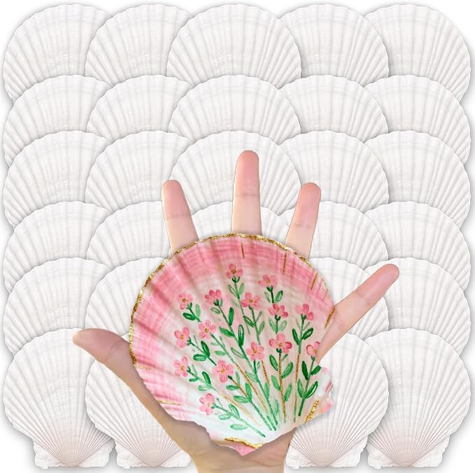ReePlan 30PCS Large Scallop Shells by Unknown