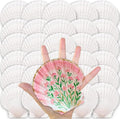 ReePlan 30PCS Large Scallop Shells by Unknown