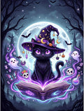 Clendo Magic Cat Paint by Numbers Kit by Clendo