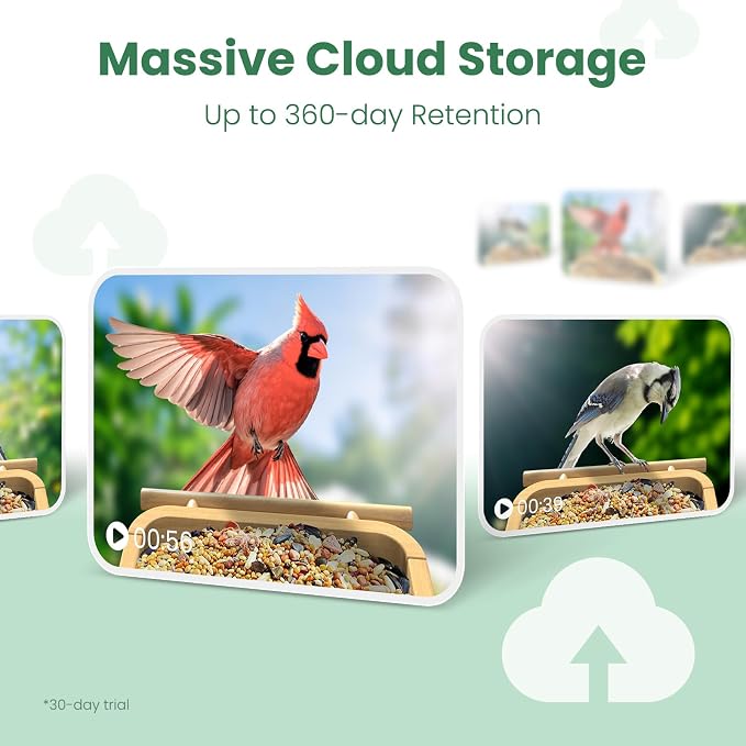 Smart Bird Feeder Camera with Solar Panel, Bamboo | 2.5K UHD, AI Identification - Image 6