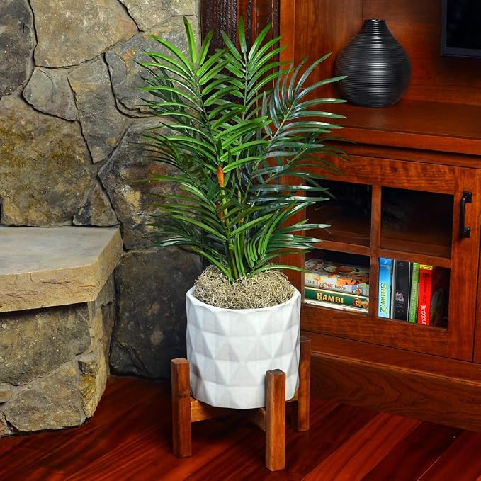 Mosser Lee ML0560 Spanish Moss, 250 Cubic Inches - Image 5