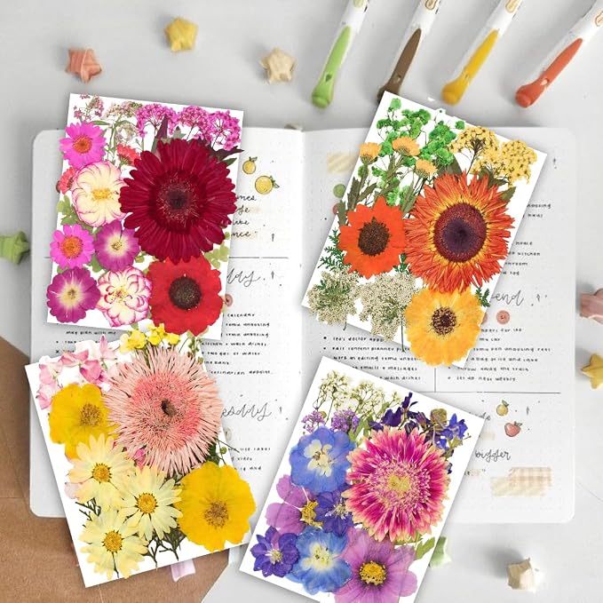 122PCS Large Nature Dried Pressed Flowers - Image 2