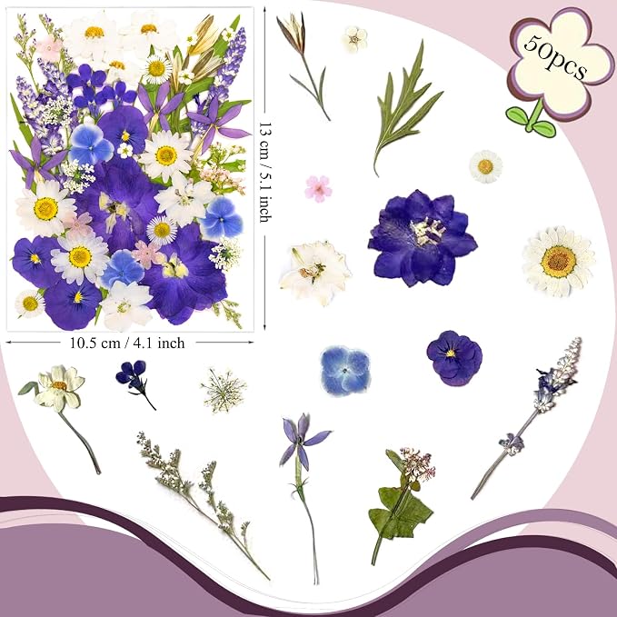 52 Pcs Blue Dried Pressed Flowers - Image 6