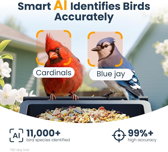 Smart Metal Bird Feeder with Camera, Deep Blue | Squirrel Proof, 2.5K UHD AI - Image 3