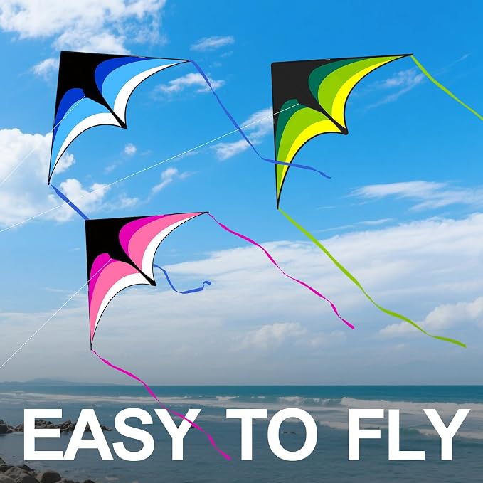 Large Single Line Beach Kite for Adults - Image 2