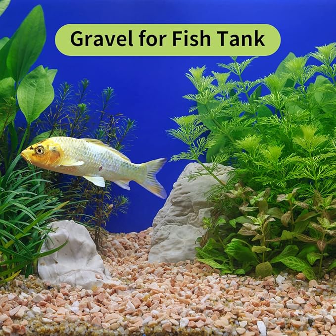 FANTIAN 10 LB Natural Pea Gravel Small Pebbles - Image 6