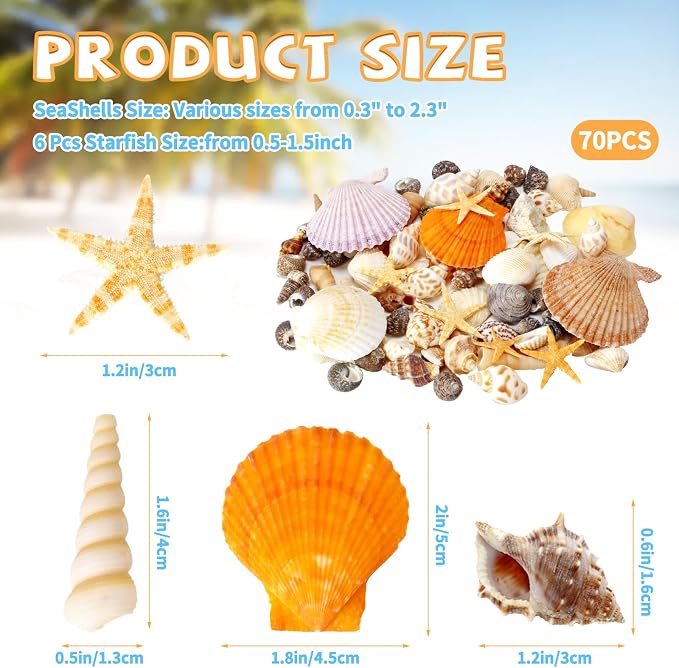 WEOXPR Mixed Sea Shells, 80+ Pcs Beach Seashells Starfish, Various Sizes Ocean - Image 2